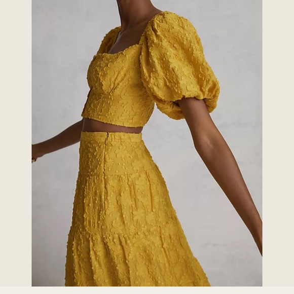 Anthropologie | embroidered midi skirt size 0 nwot - Picture 11 of 12